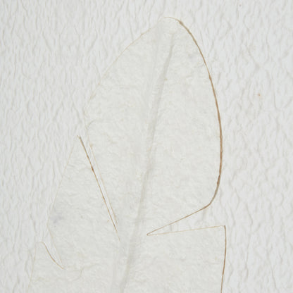 Large Quill White Feather Art Mounted In Beaded Frame by Hill Interiors - image 4