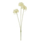 Three Head Cream Allium Spray by Hill Interiors