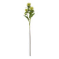 Green Safflower Spray by Hill Interiors