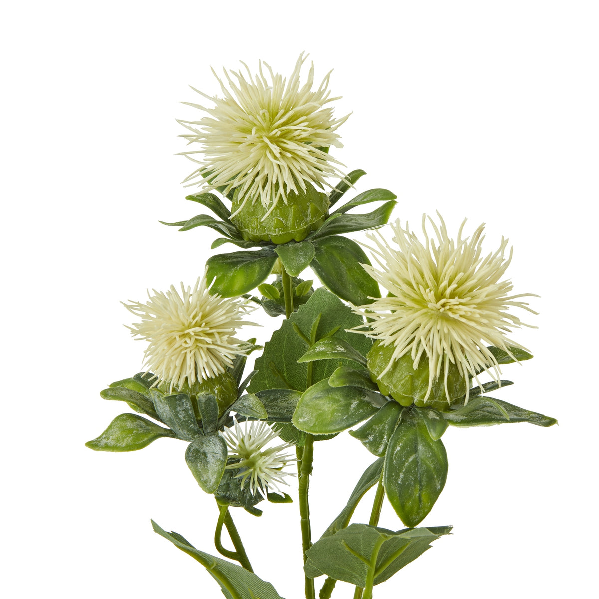 Cream Safflower Spray by Hill Interiors - image 2