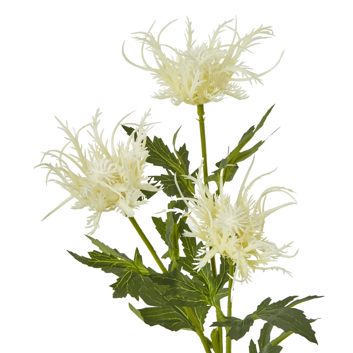Cream Sea Holly Spray by Hill Interiors - image 2