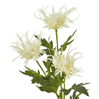 Cream Sea Holly Spray by Hill Interiors - image 2