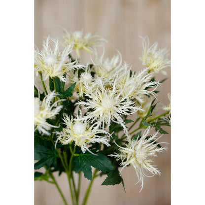 Cream Sea Holly Spray by Hill Interiors - image 5