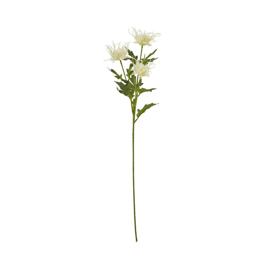 Cream Sea Holly Spray by Hill Interiors