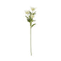 Cream Sea Holly Spray by Hill Interiors