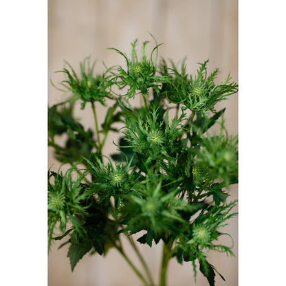 Green Sea Holly Spray by Hill Interiors - image 5