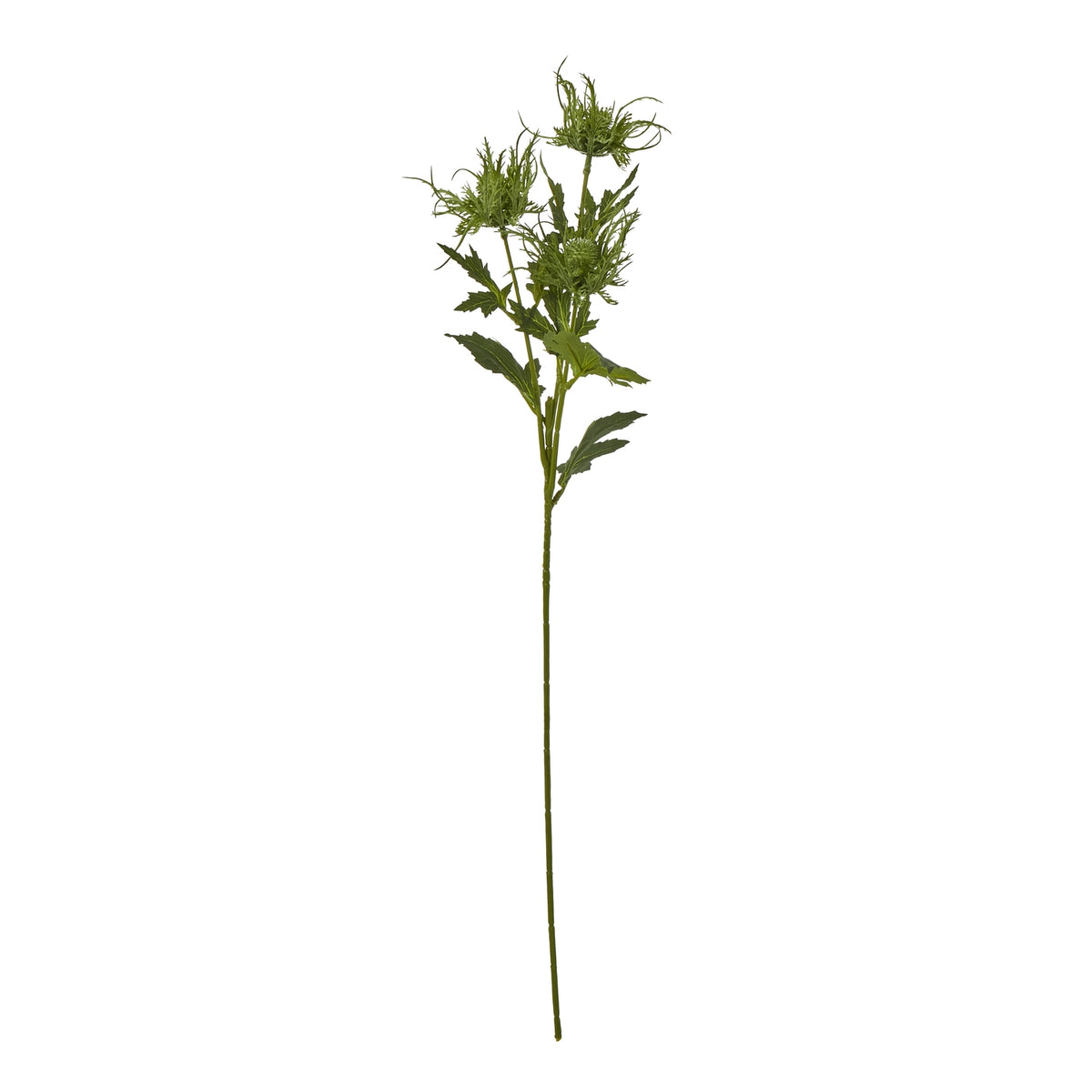 Green Sea Holly Spray by Hill Interiors