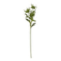 Green Sea Holly Spray by Hill Interiors