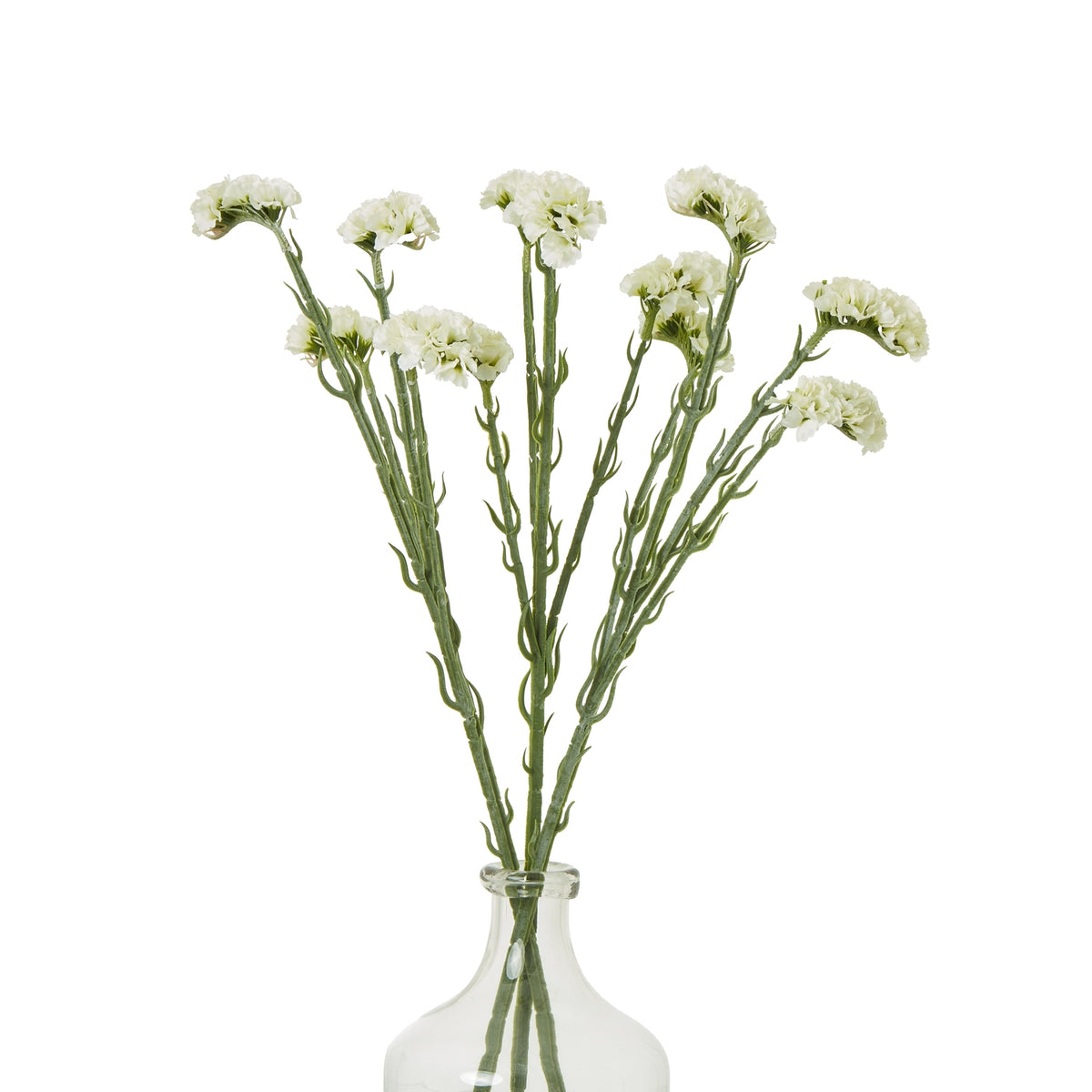 Cream Statice Spray by Hill Interiors - image 3