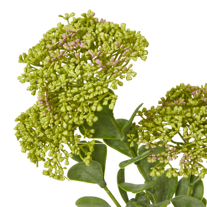 Green Sedum Spray by Hill Interiors - image 2