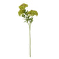 Green Sedum Spray by Hill Interiors