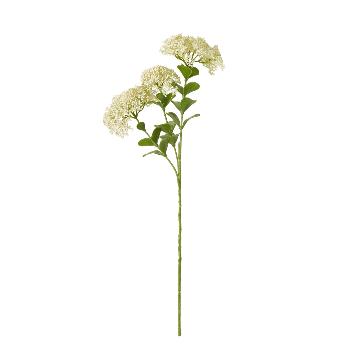 Cream Sedum Spray by Hill Interiors