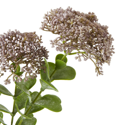 Purple Sedum Spray by Hill Interiors - image 2