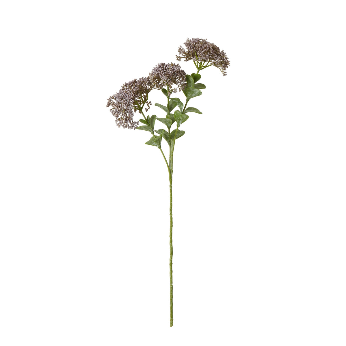 Purple Sedum Spray by Hill Interiors