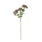 Purple Sedum Spray by Hill Interiors