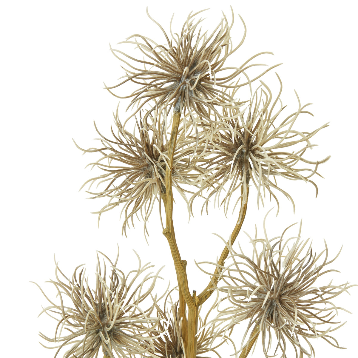 Brown Xanthium Spray by Hill Interiors - image 2