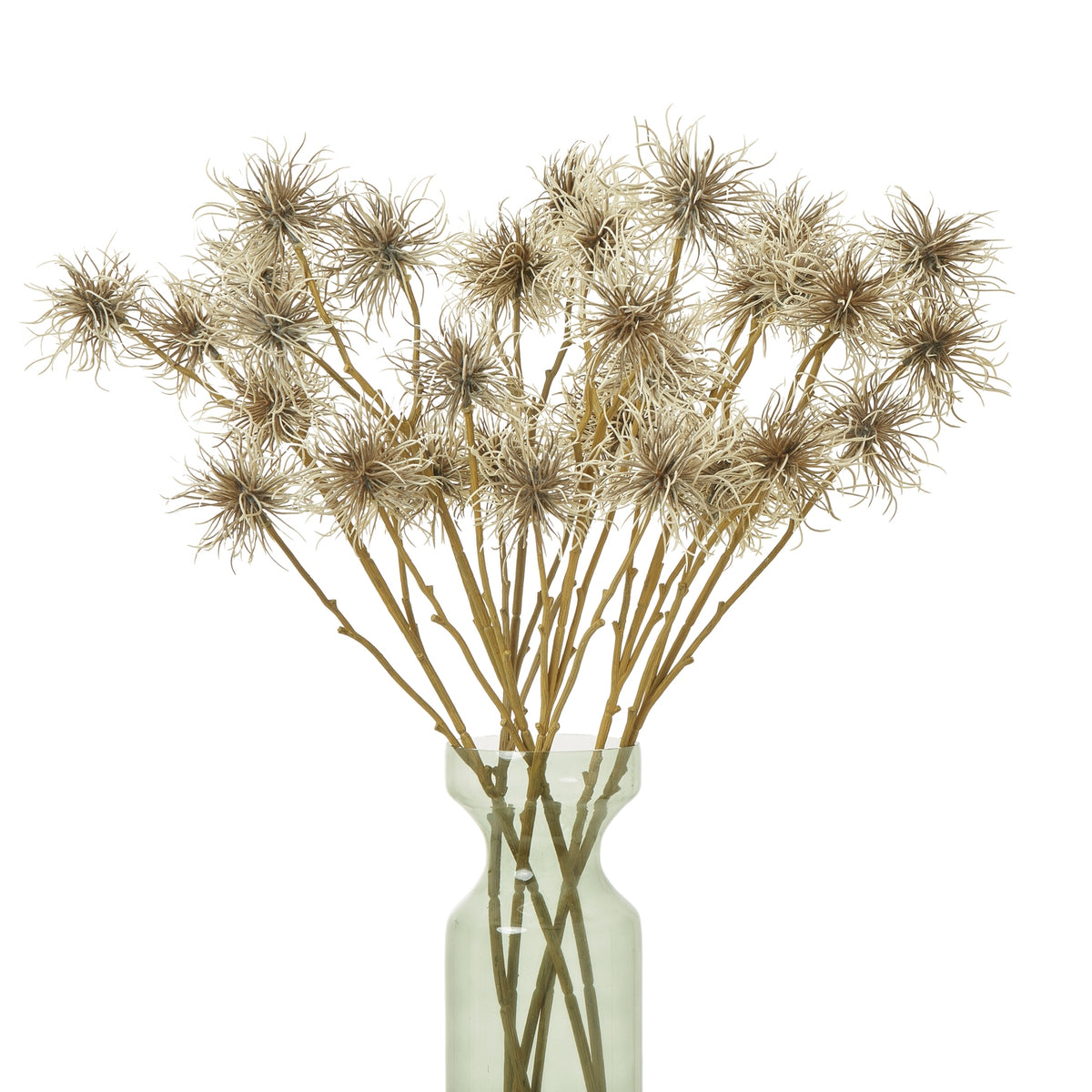 Brown Xanthium Spray by Hill Interiors - image 3