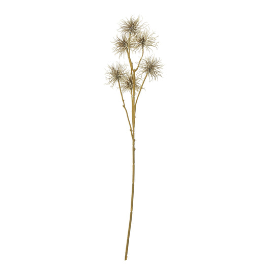 Brown Xanthium Spray by Hill Interiors
