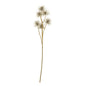 Brown Xanthium Spray by Hill Interiors