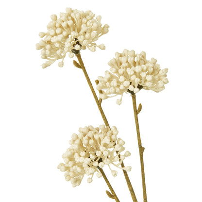 Cream Allium Spray by Hill Interiors - image 2