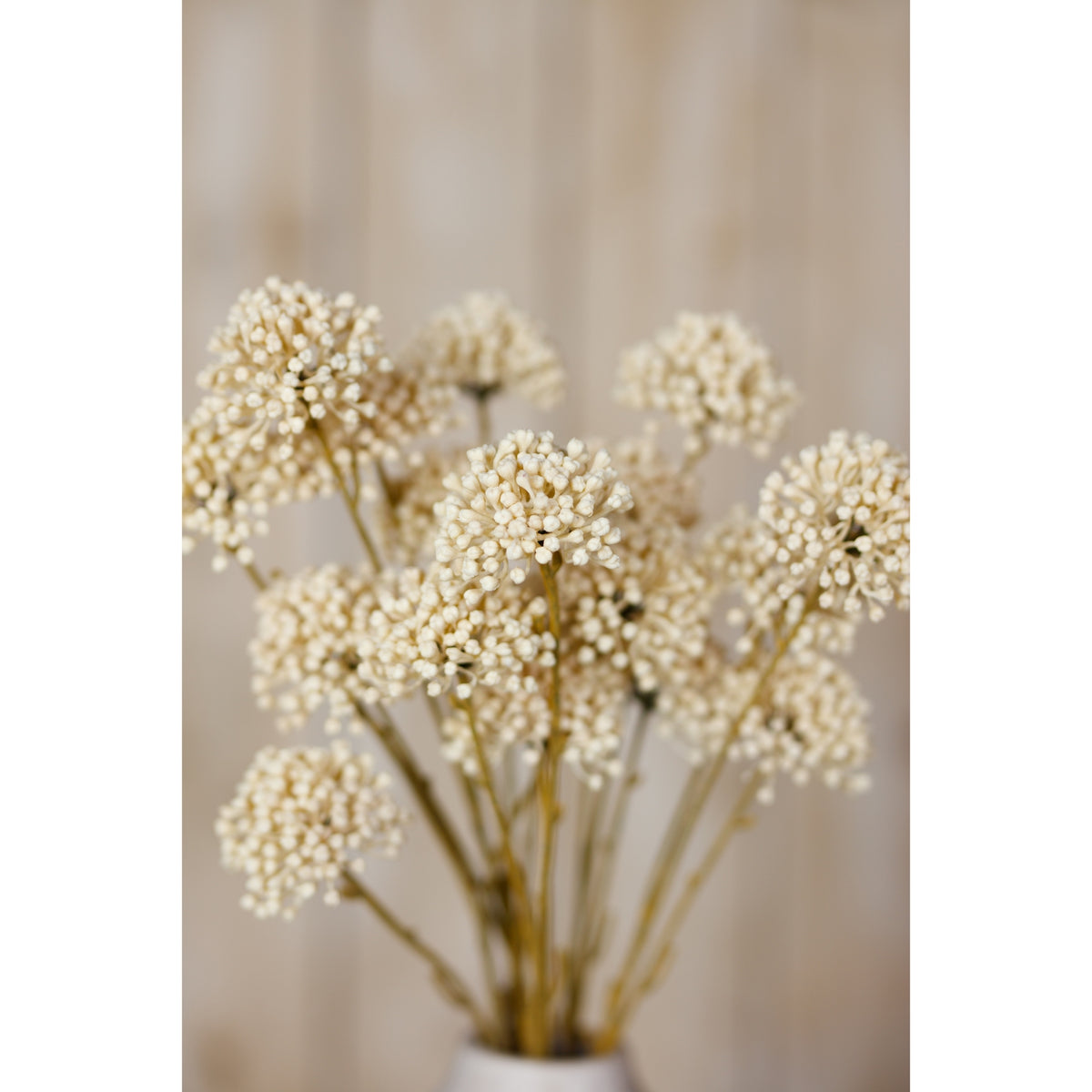 Cream Allium Spray by Hill Interiors - image 5