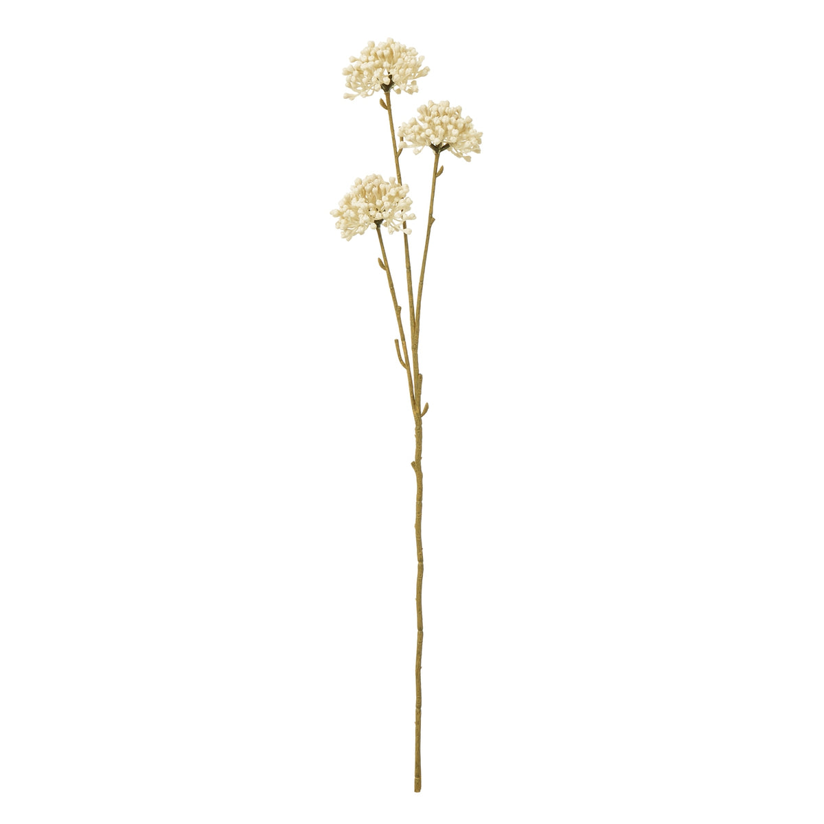 Cream Allium Spray by Hill Interiors