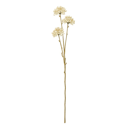 Cream Allium Spray by Hill Interiors