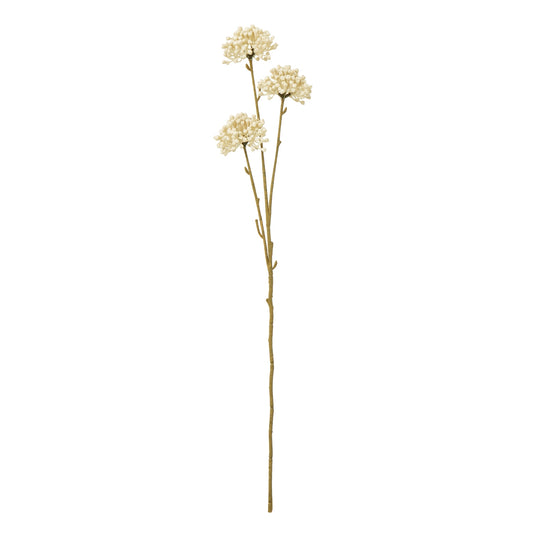 Cream Allium Spray by Hill Interiors