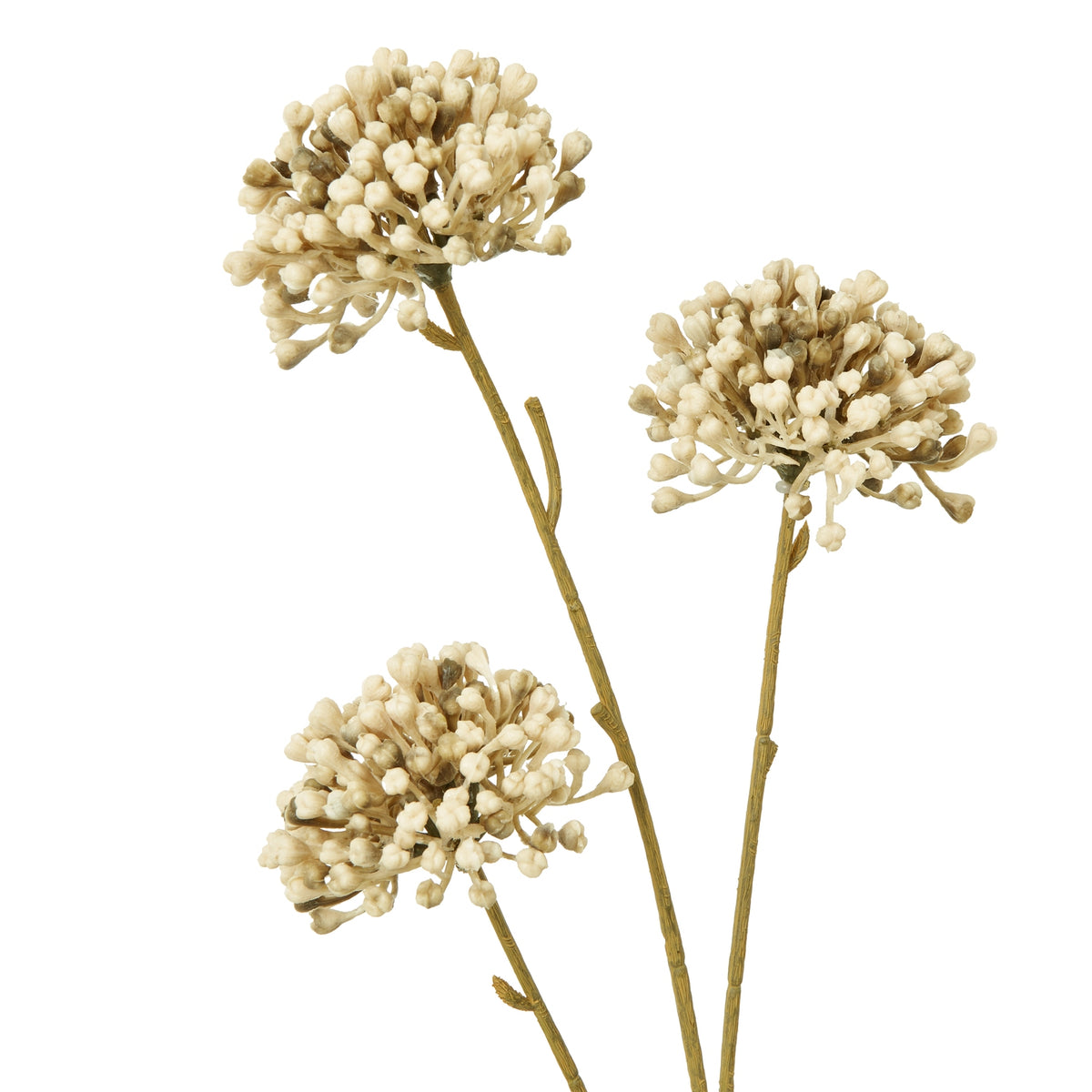 Brown Allium Spray by Hill Interiors - image 2