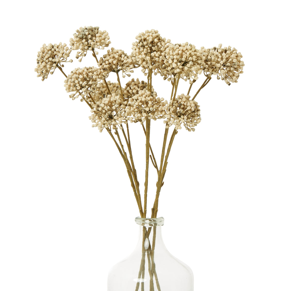 Brown Allium Spray by Hill Interiors - image 3