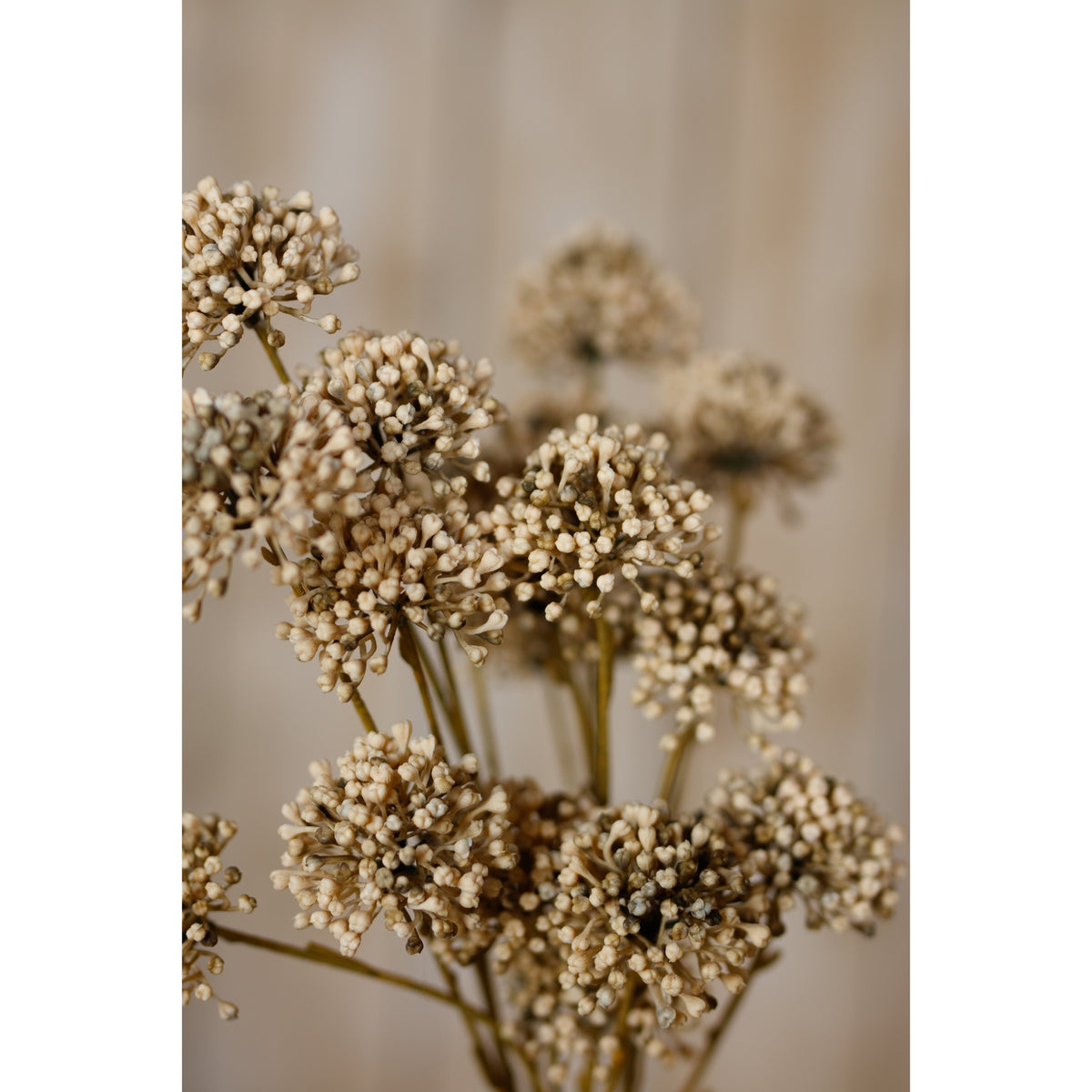 Brown Allium Spray by Hill Interiors - image 5