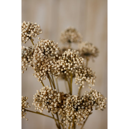 Brown Allium Spray by Hill Interiors - image 5