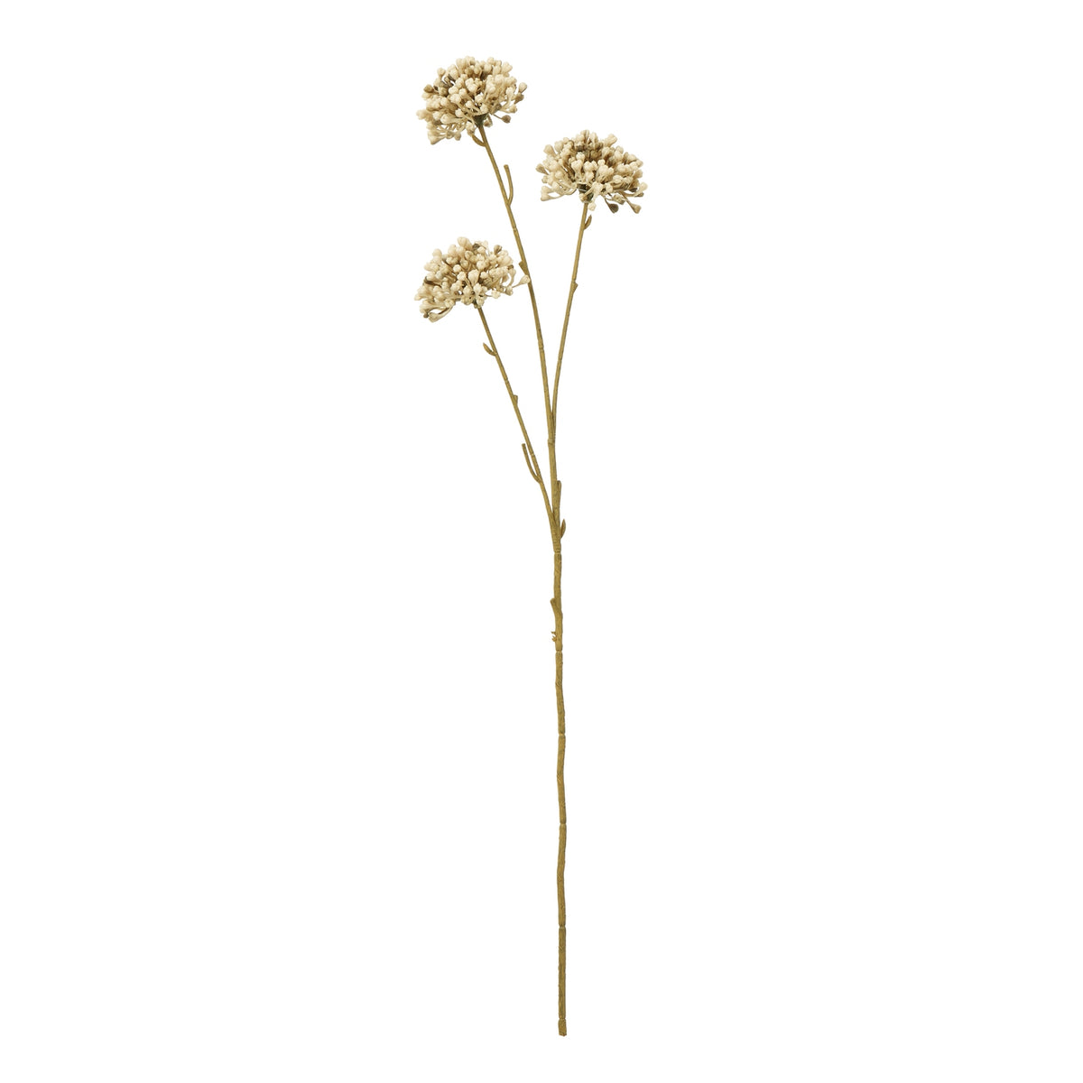 Brown Allium Spray by Hill Interiors