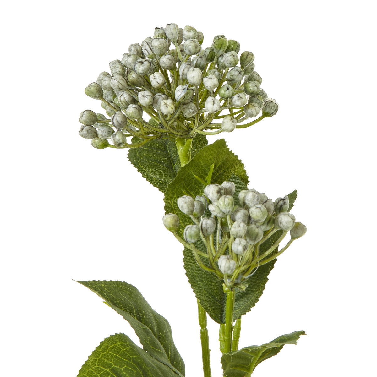 Blue Budding Hydrangea Spray by Hill Interiors - image 2