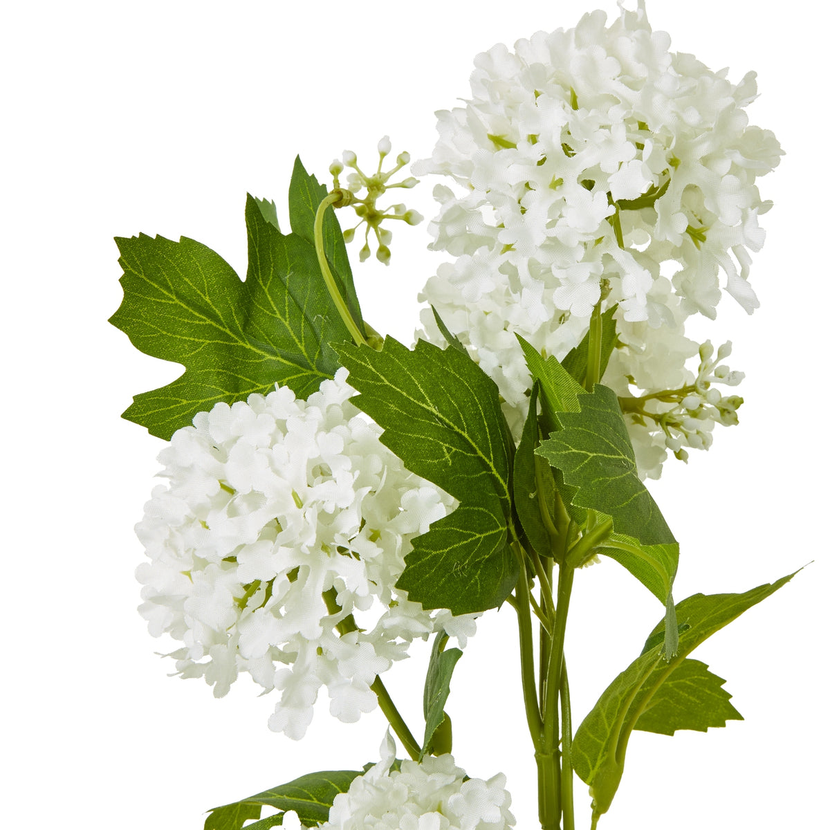 Cream Snowball Viburnum Spray by Hill Interiors - image 2