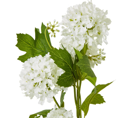 Cream Snowball Viburnum Spray by Hill Interiors - image 2