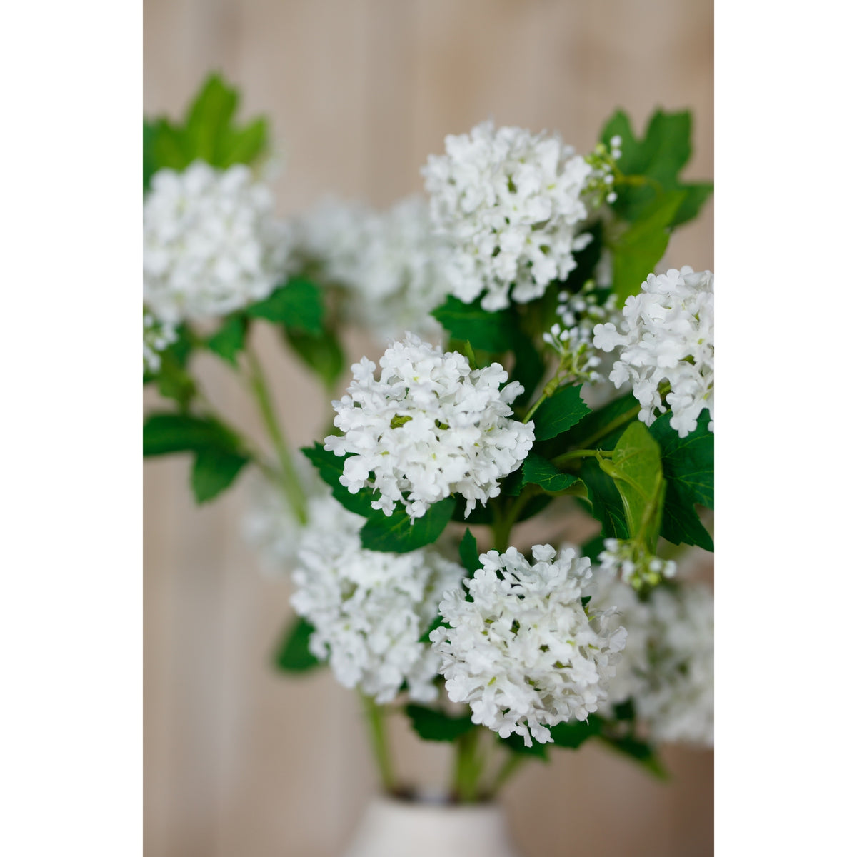 Cream Snowball Viburnum Spray by Hill Interiors - image 5