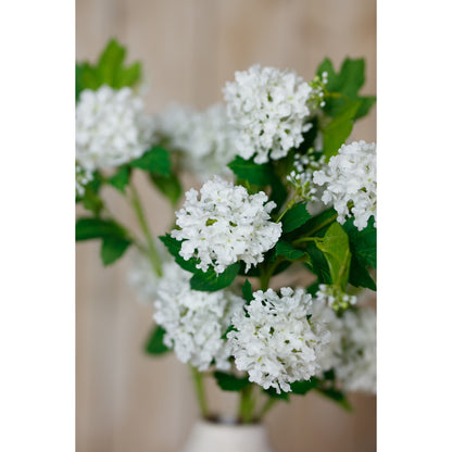 Cream Snowball Viburnum Spray by Hill Interiors - image 5