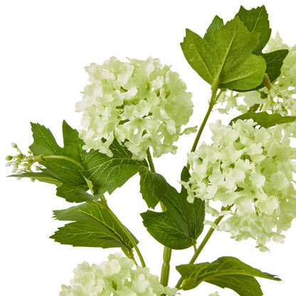 Green Snowball Viburnum Spray by Hill Interiors - image 2