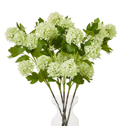 Green Snowball Viburnum Spray by Hill Interiors - image 3