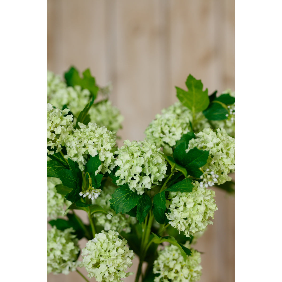 Green Snowball Viburnum Spray by Hill Interiors - image 5