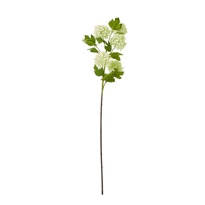 Green Snowball Viburnum Spray by Hill Interiors
