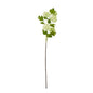 Green Snowball Viburnum Spray by Hill Interiors