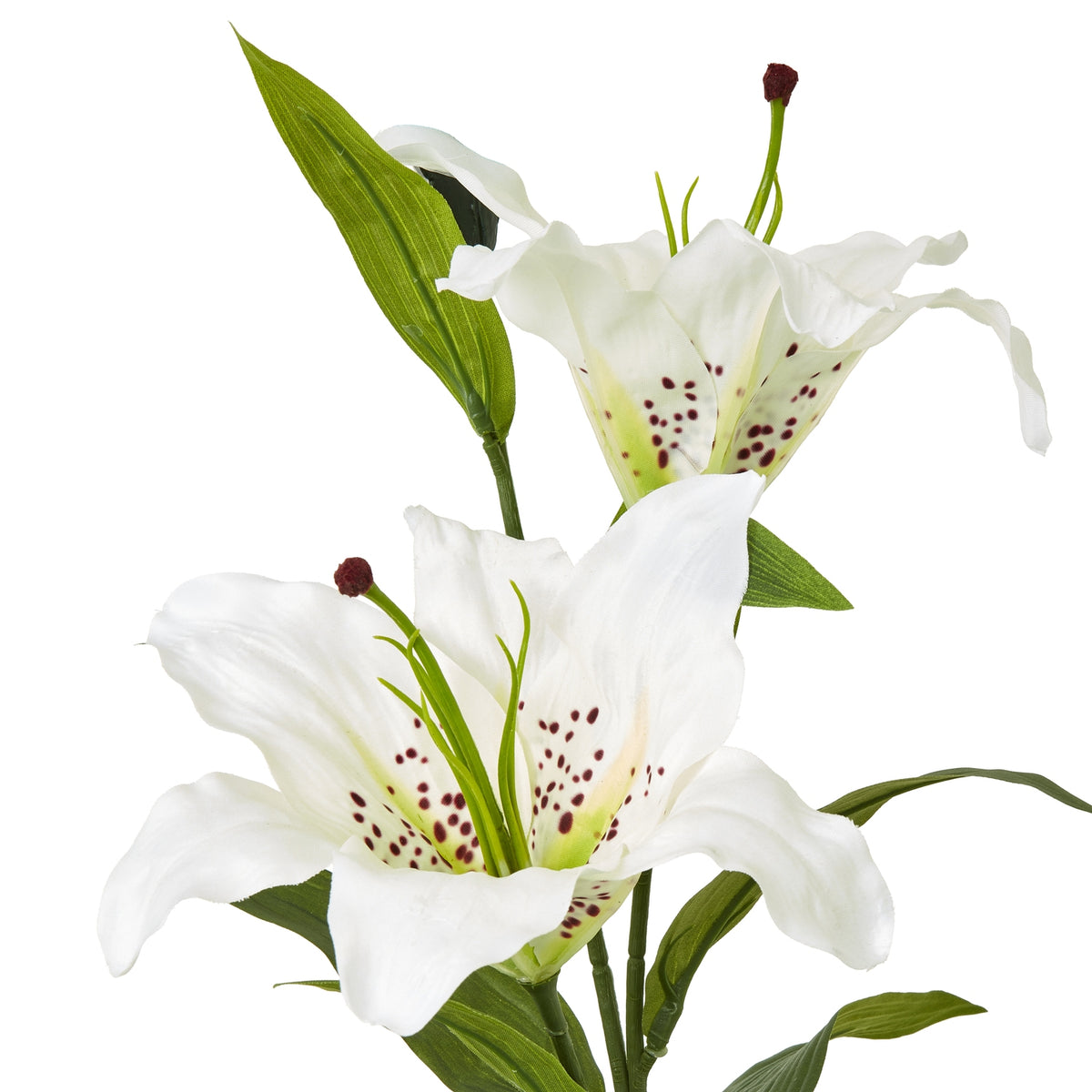 White Madonna Lily Spray by Hill Interiors - image 2