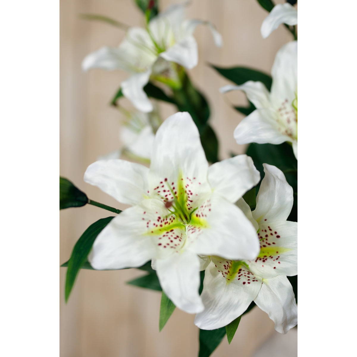 White Madonna Lily Spray by Hill Interiors - image 5