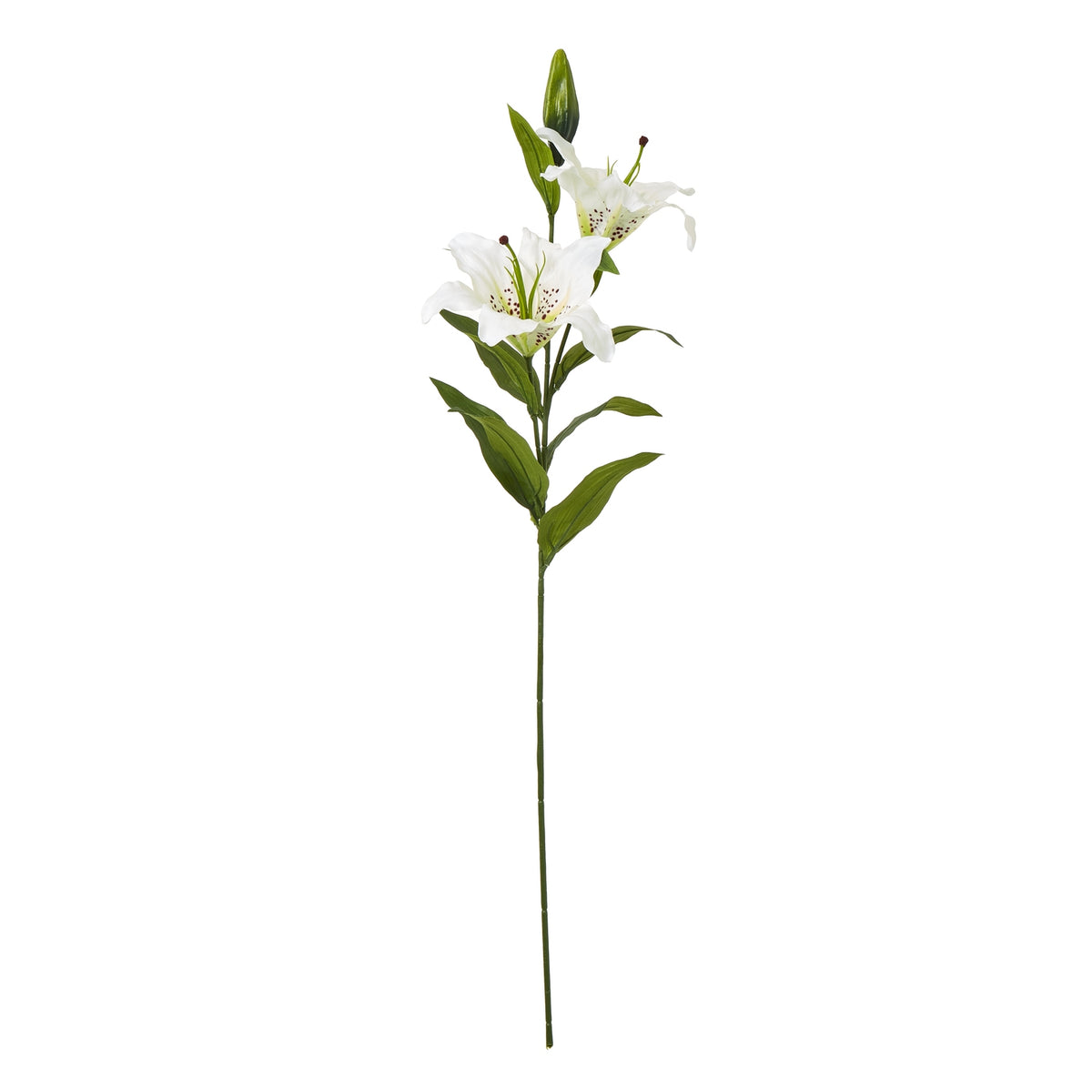 White Madonna Lily Spray by Hill Interiors