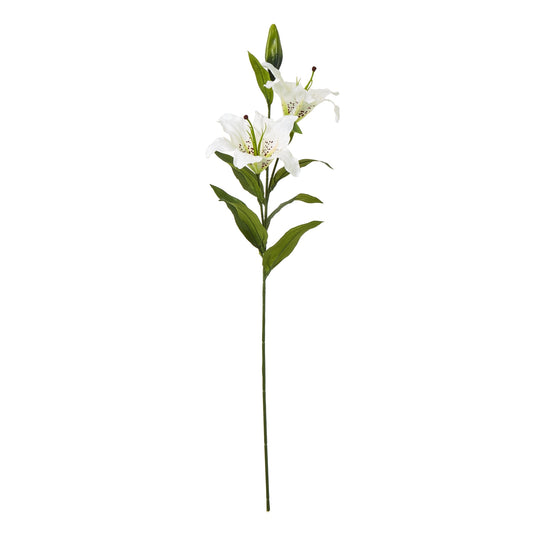 White Madonna Lily Spray by Hill Interiors