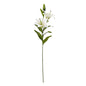 White Madonna Lily Spray by Hill Interiors