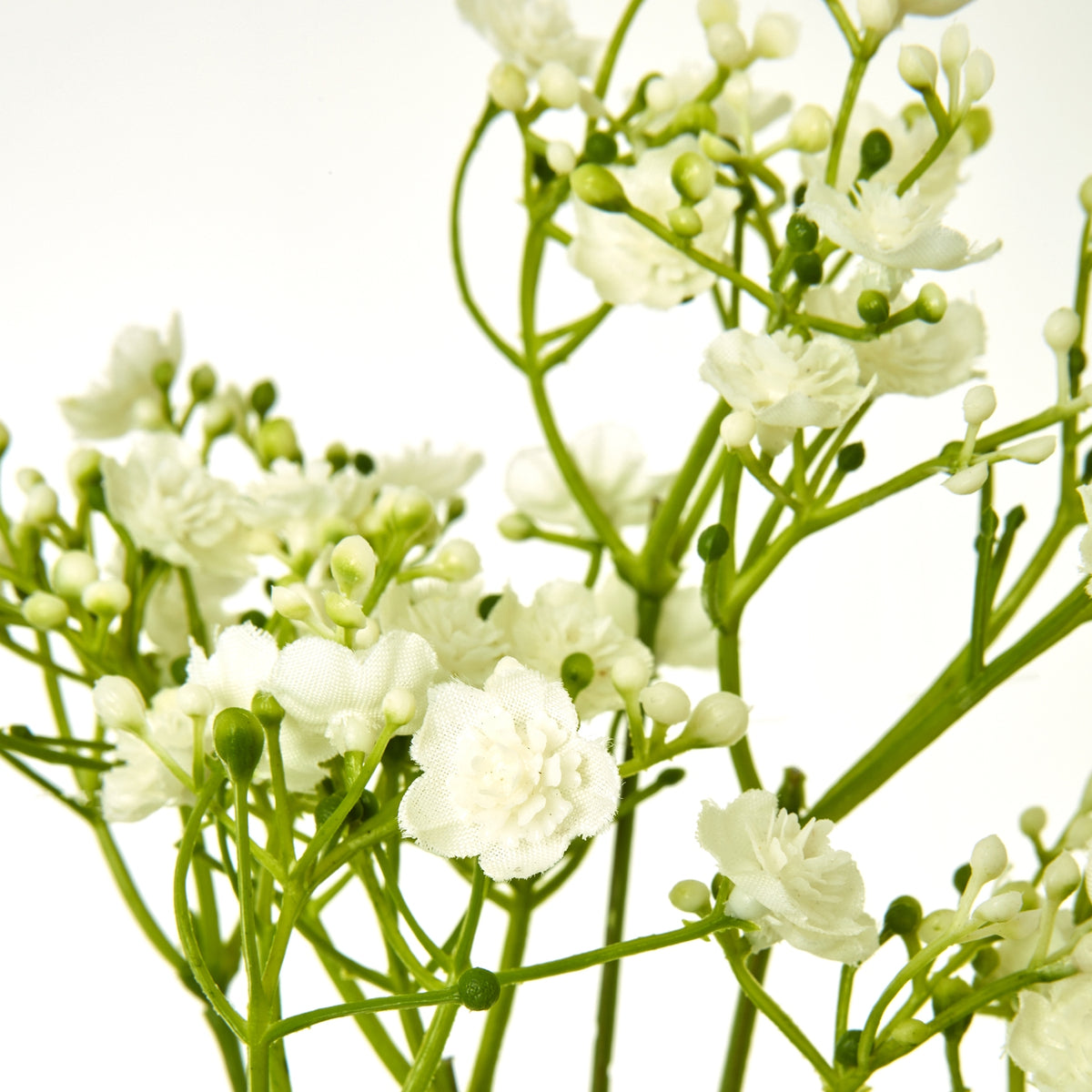 Cream Gypsophila Stem by Hill Interiors - image 2