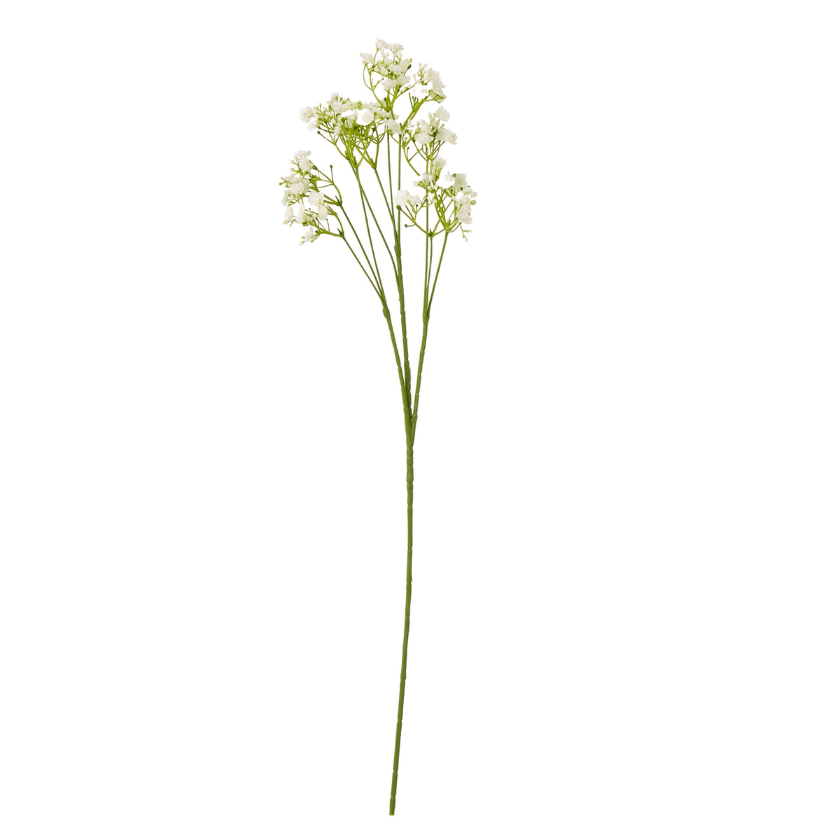 Cream Gypsophila Stem by Hill Interiors